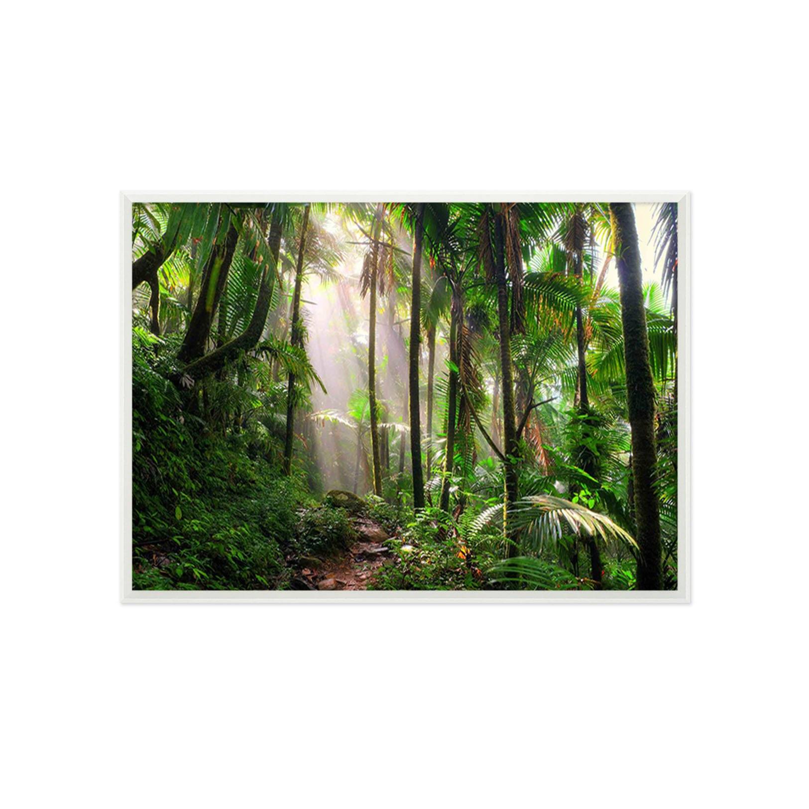 3D Forest Sunshine 107 Fake Framed Print Painting Wallpaper AJ Creativity Home 