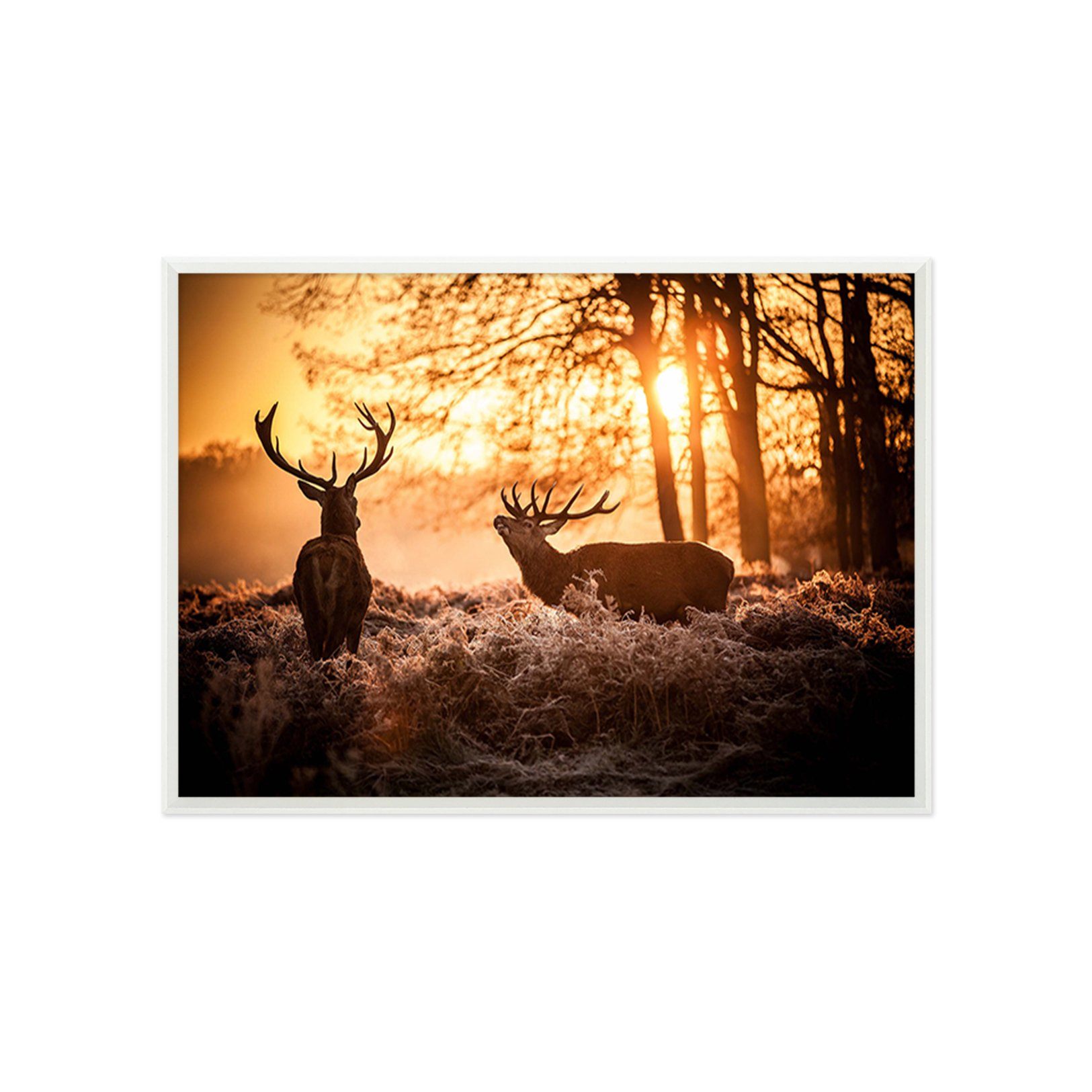 3D Dusk Fawn 054 Fake Framed Print Painting Wallpaper AJ Creativity Home 