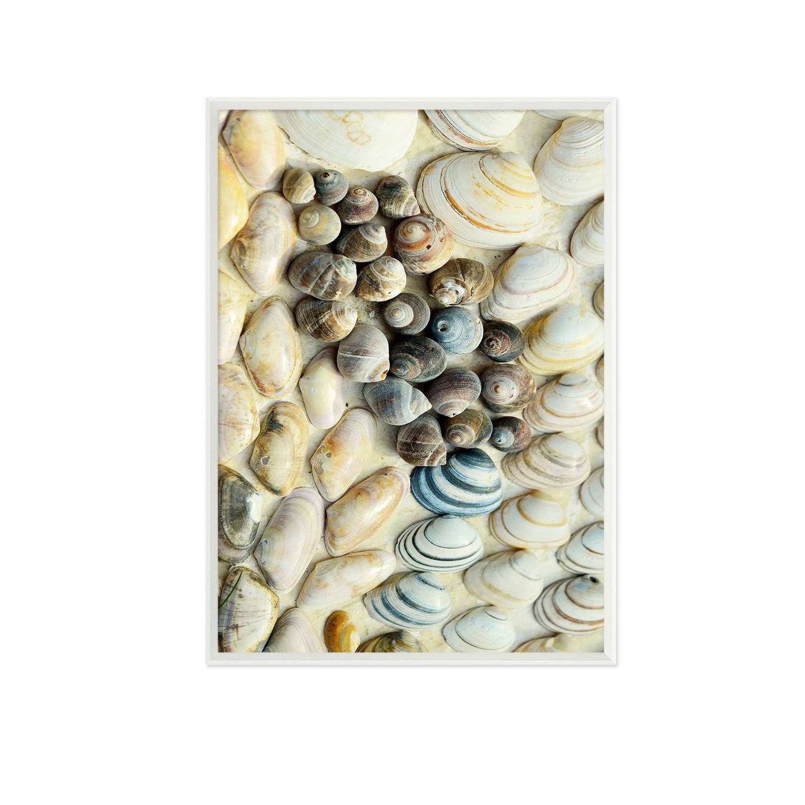 3D Neat Shells 097 Fake Framed Print Painting Wallpaper AJ Creativity Home 