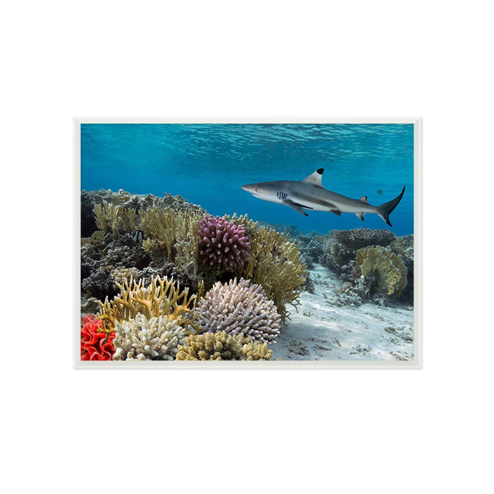 3D Submarine Coral 163 Fake Framed Print Painting Wallpaper AJ Creativity Home 