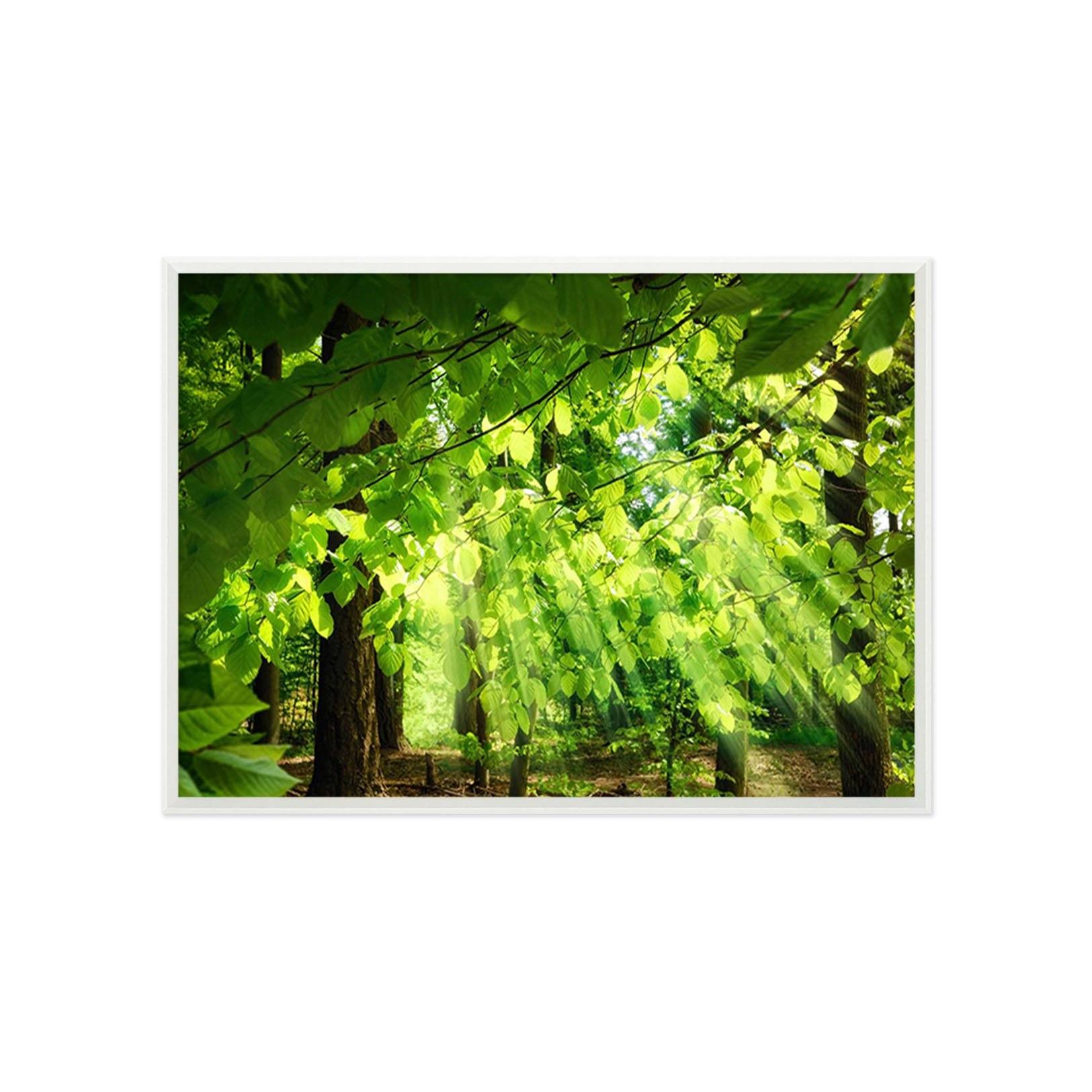 3D Shade Trees 010 Fake Framed Print Painting Wallpaper AJ Creativity Home 