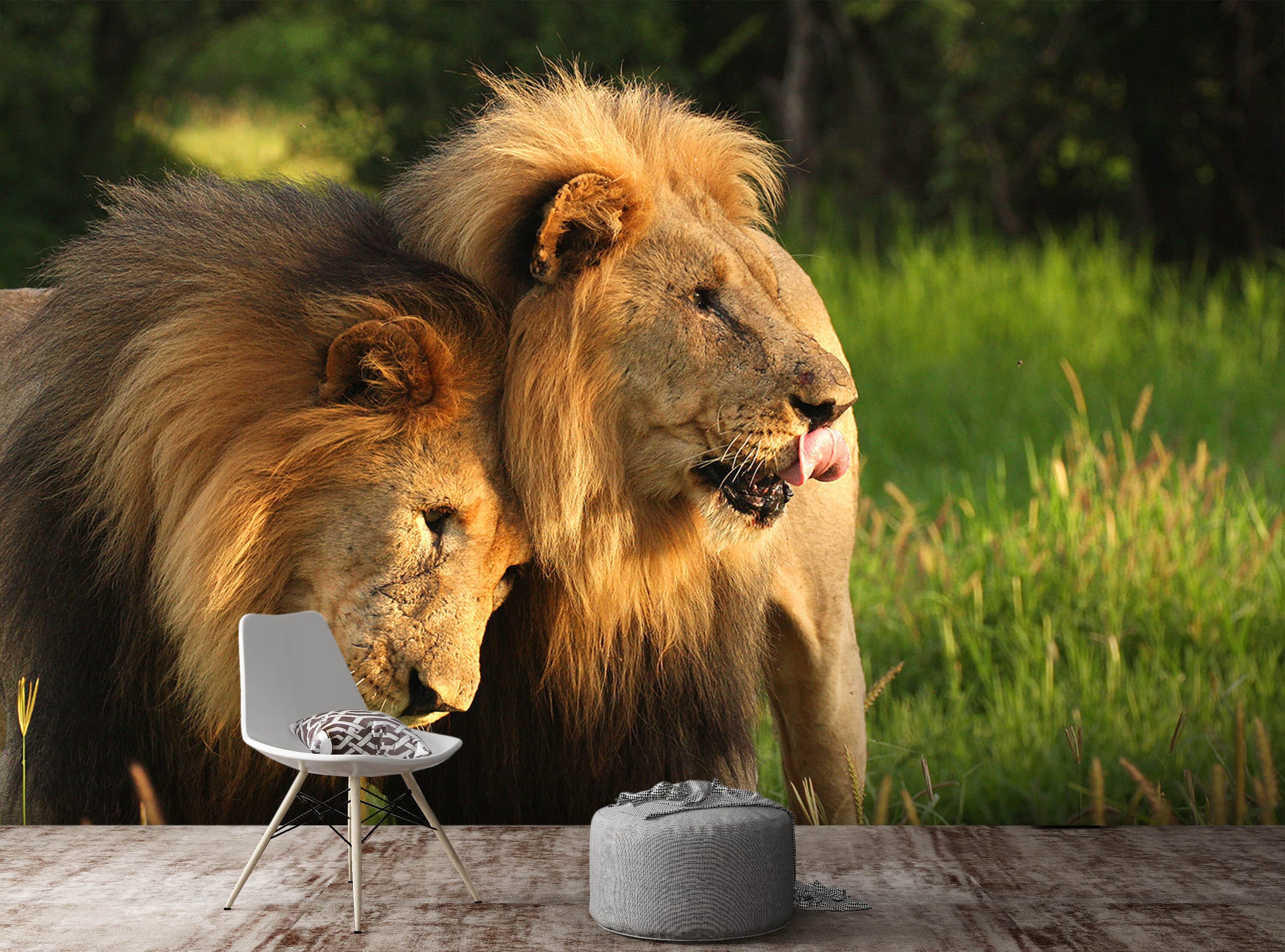 3D Lion Lawn 348 Wall Murals Wallpaper AJ Wallpaper 2 