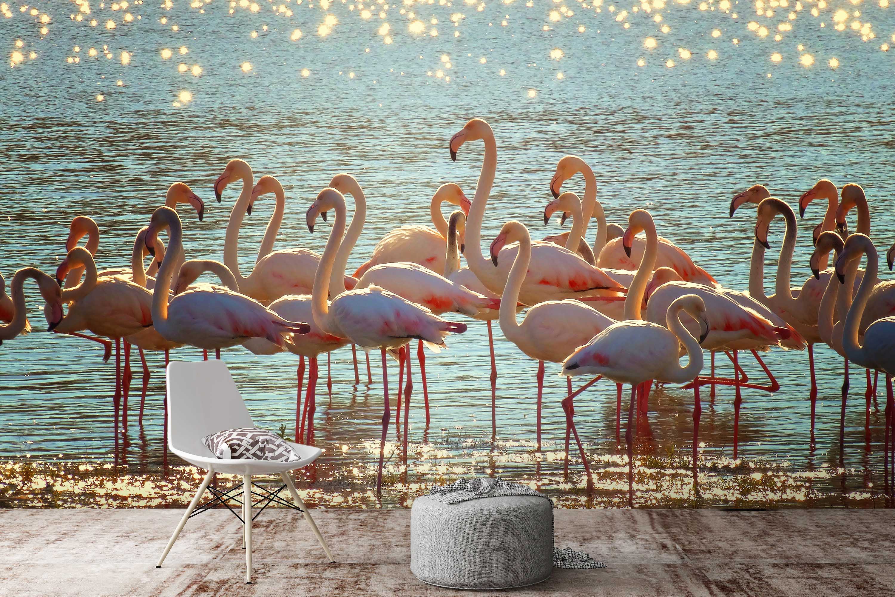 3D Sea Flamingo 142 Wallpaper AJ Wallpaper 