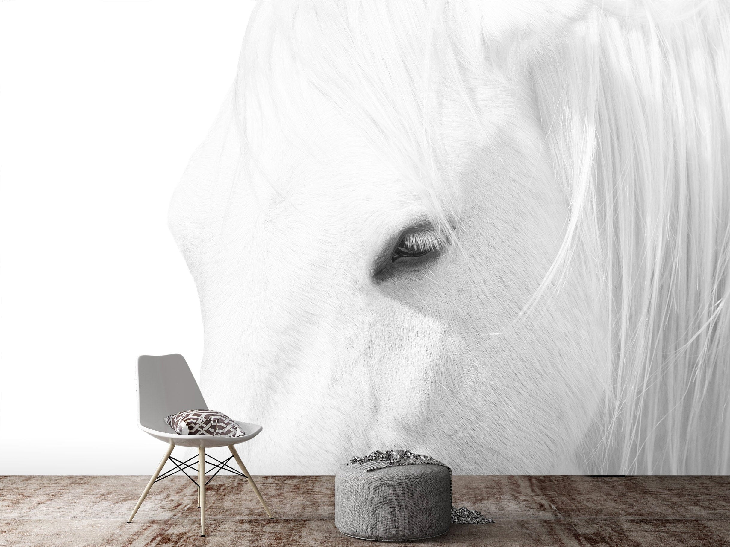 3D White Horse 1452 Marco Carmassi Wall Mural Wall Murals Wallpaper AJ Wallpaper 2 