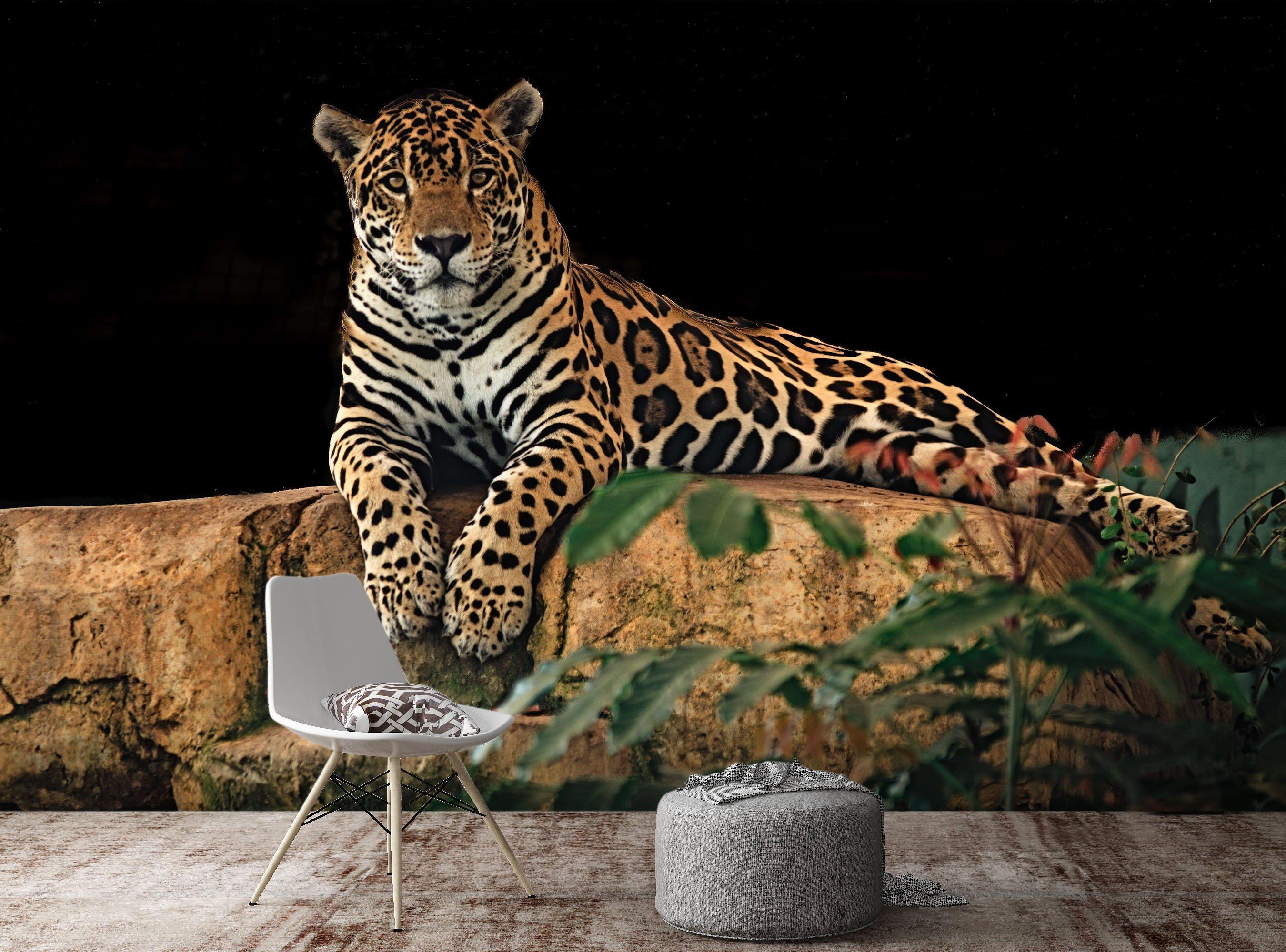 3D Kneeling Tiger 203 Wallpaper AJ Wallpaper 