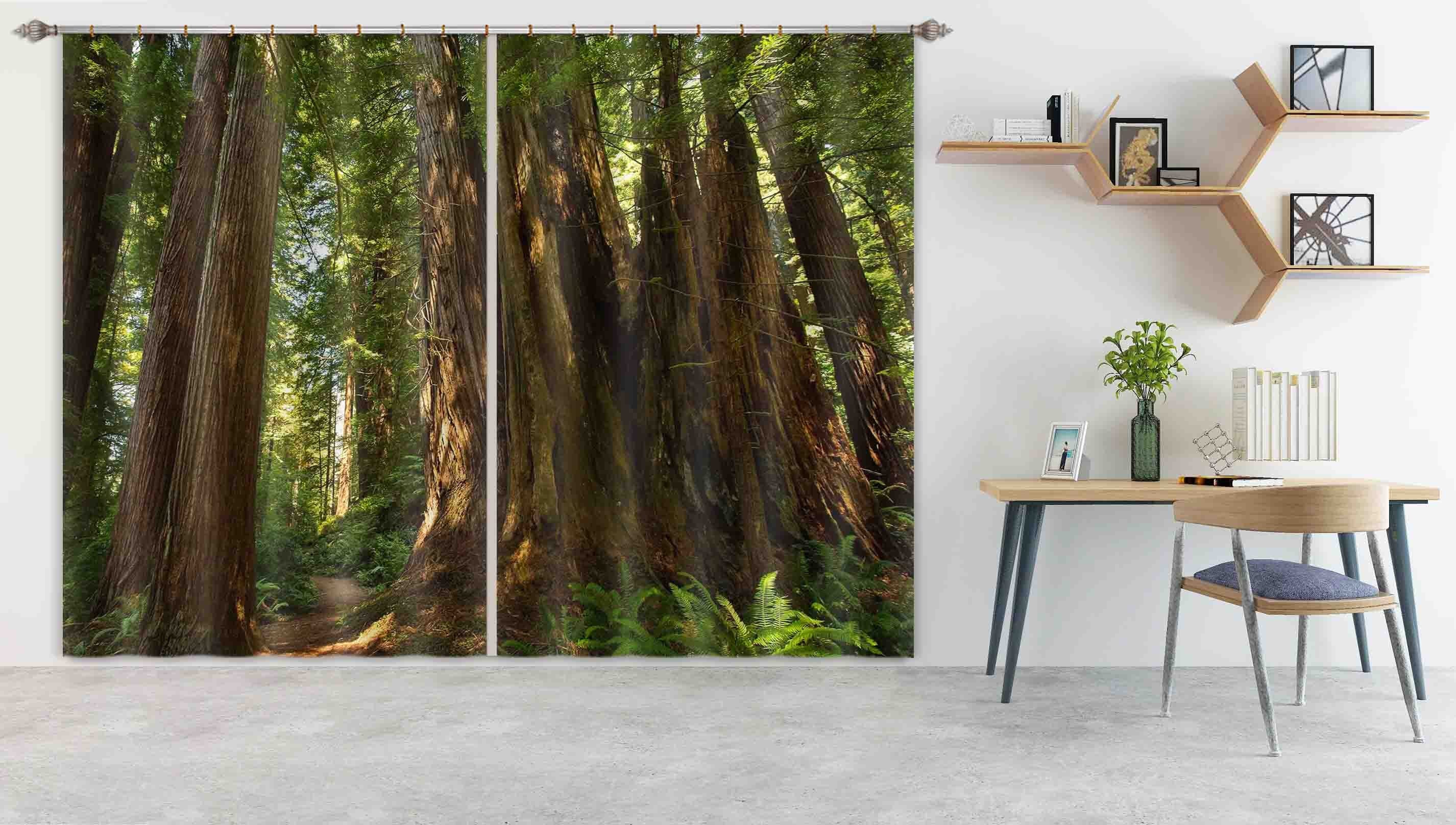 3D Old Forest 066 Kathy Barefield Curtain Curtains Drapes Curtains AJ Creativity Home 