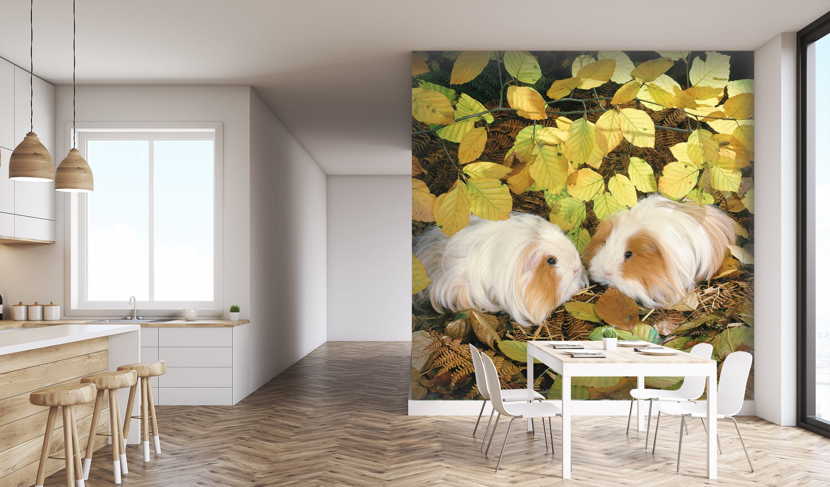3D Long Haired Rabbit 172 Wall Murals Wallpaper AJ Wallpaper 2 