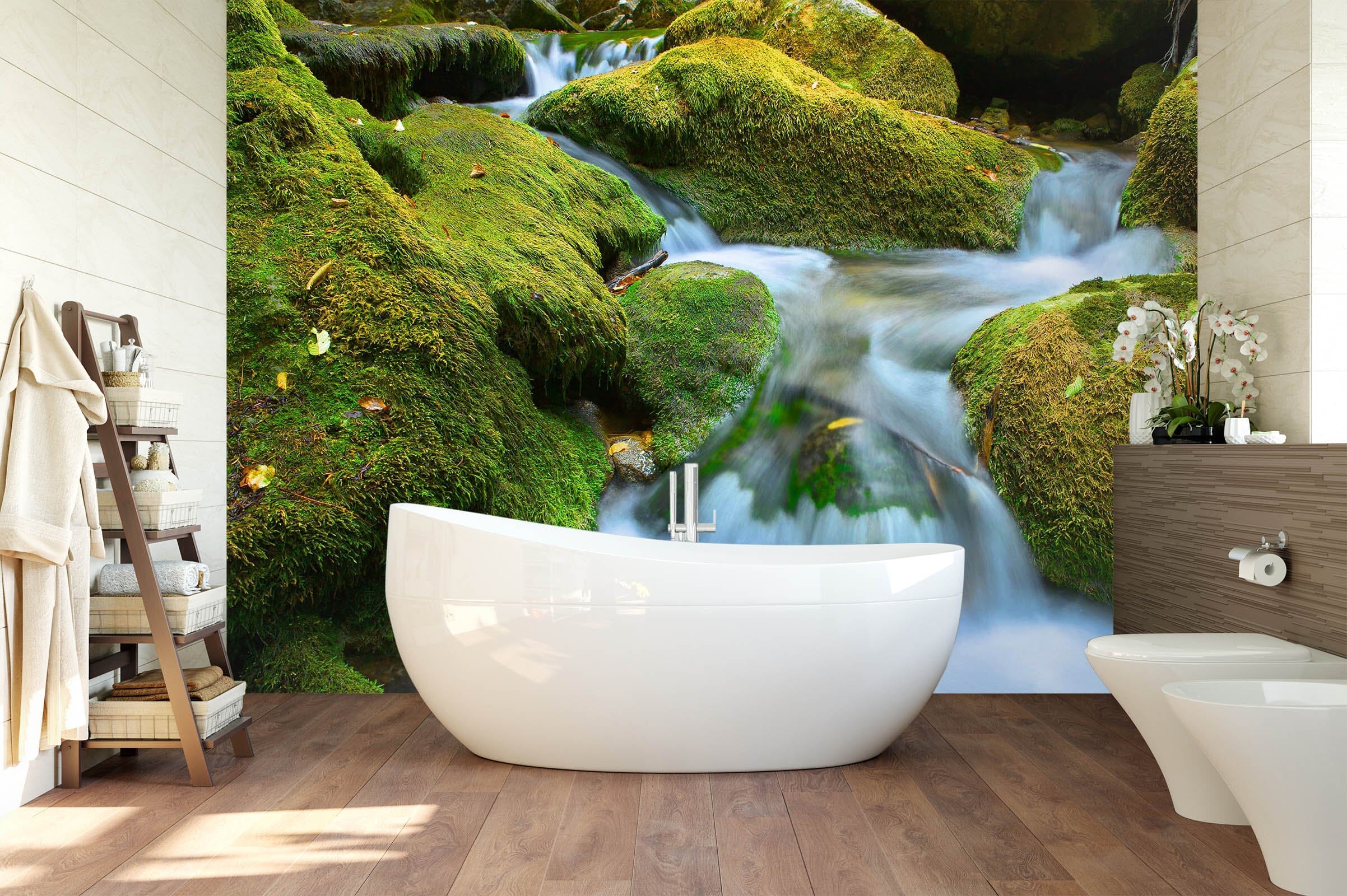 3D Mountain Stream 1631 Wall Murals Wallpaper AJ Wallpaper 2 