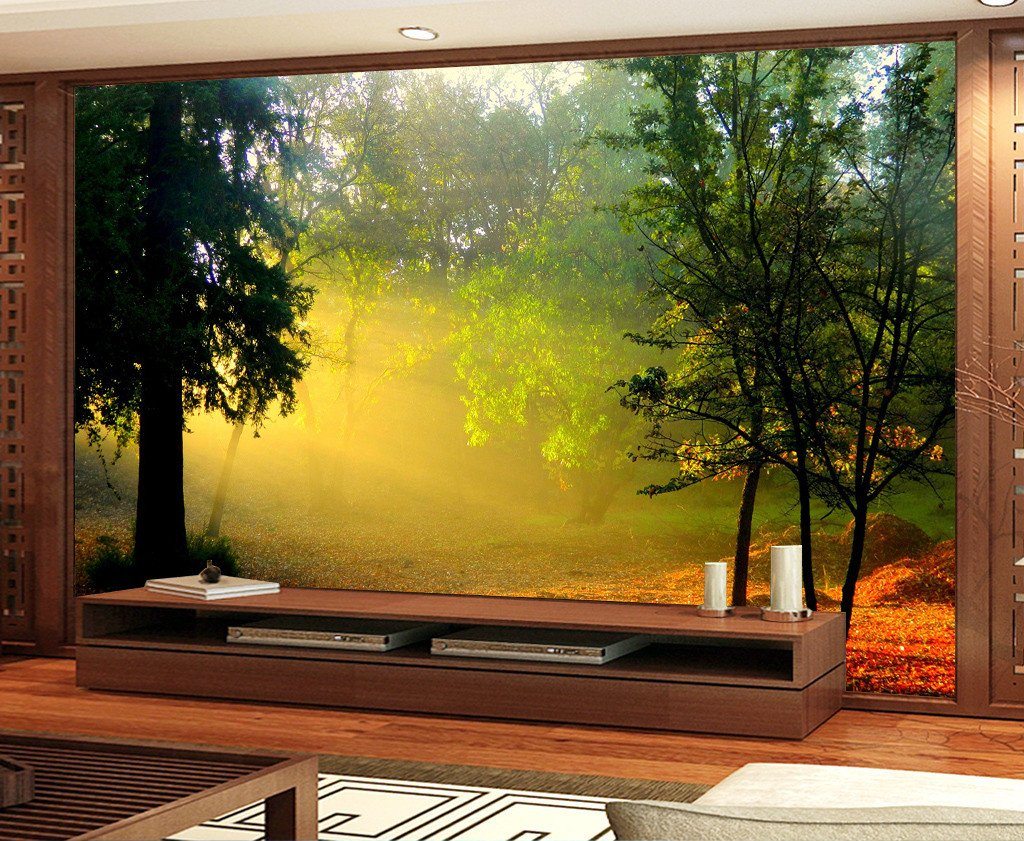 3D Sunshine Forest Tree 232 Wallpaper AJ Wallpaper 