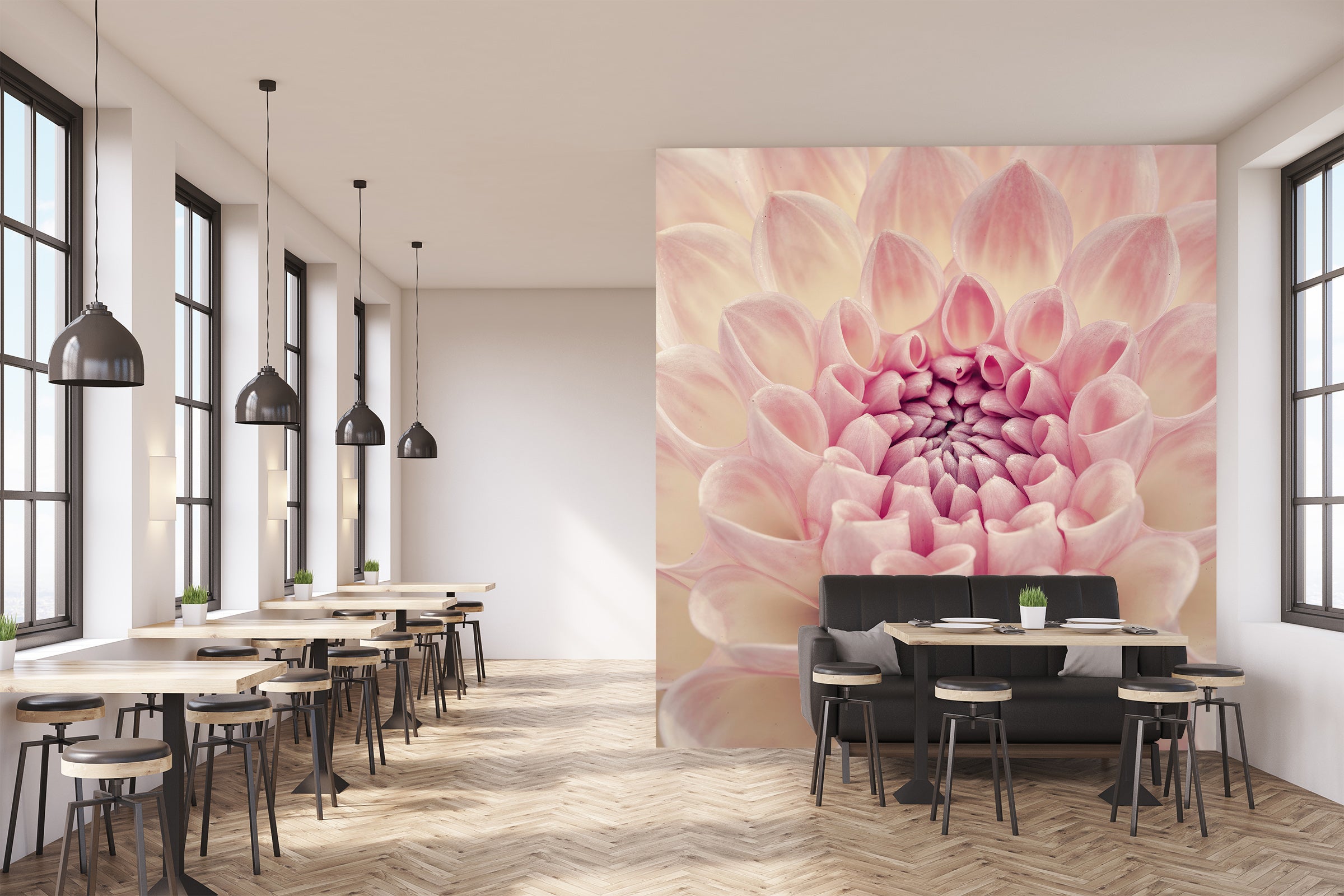 3D Beautiful Chrysanthemum 6128 Assaf Frank Wall Mural Wall Murals