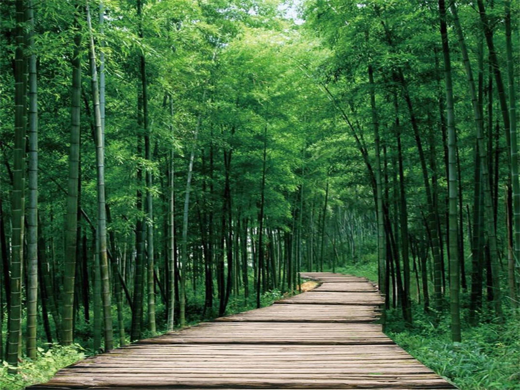 3D Bamboo Forest Wood Road 013 Garage Door Mural Wallpaper AJ Wallpaper 