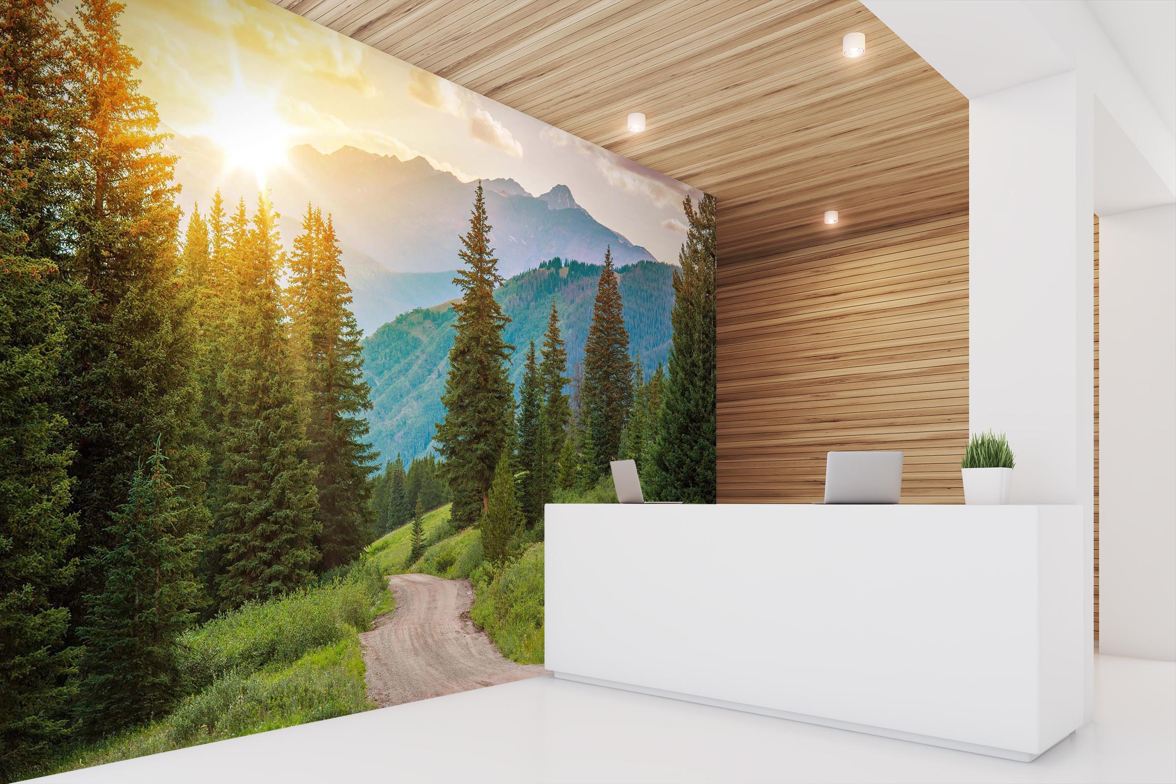 3D Sunny Forest 027 Wall Murals