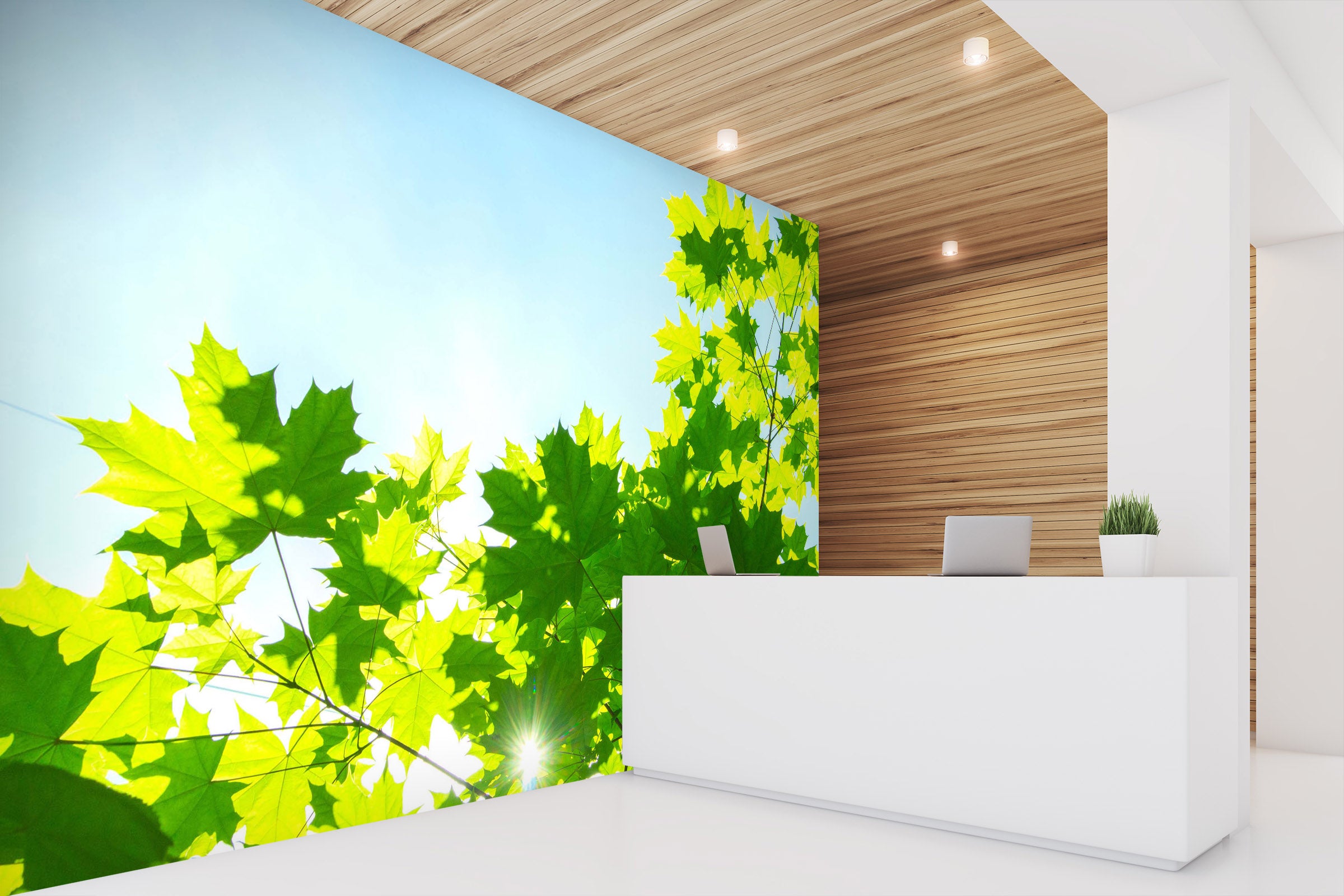 3D Sunlight Leaves 047 Wall Murals Wallpaper AJ Wallpaper 2 