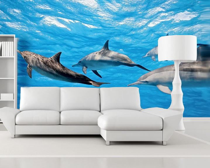 Swimming Dolphins Wallpaper AJ Wallpaper 