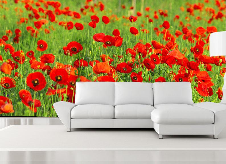 Red Flowers Field 1 Wallpaper AJ Wallpaper 