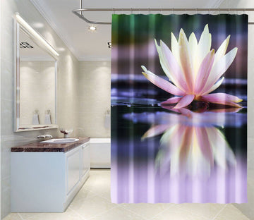 3D Lotus Pond 030 Shower Curtain 3D Shower Curtain AJ Creativity Home 