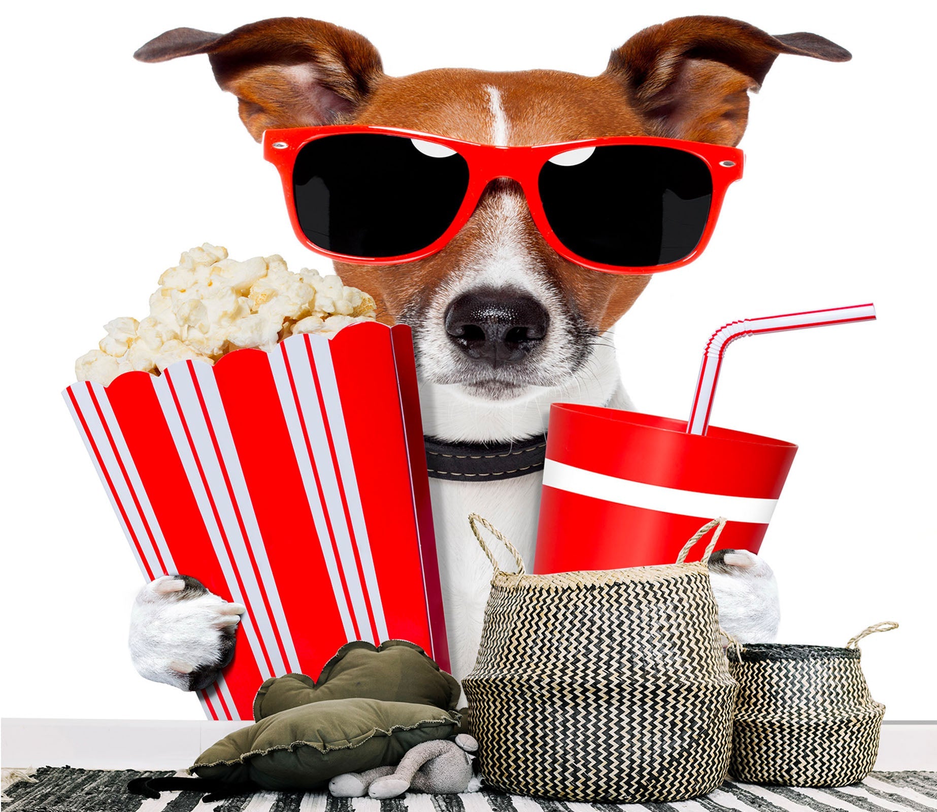 3D Trend Dog 011 Wall Murals Wallpaper AJ Wallpaper 2 