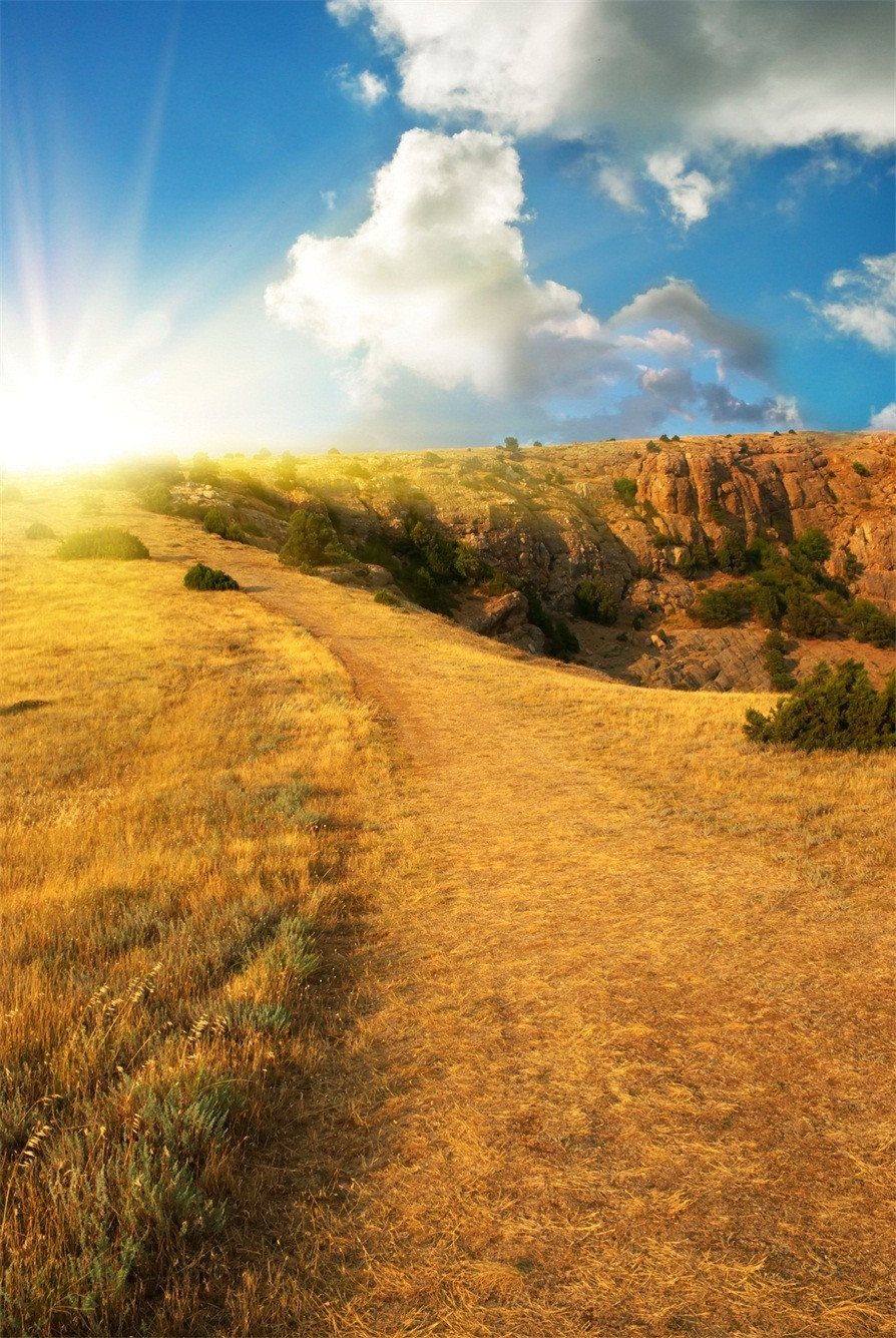 3D golden paddy fields door mural Wallpaper AJ Wallpaper 