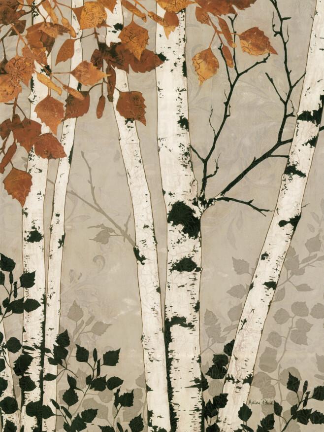 Tree Trunks 4 Wallpaper AJ Wallpaper 