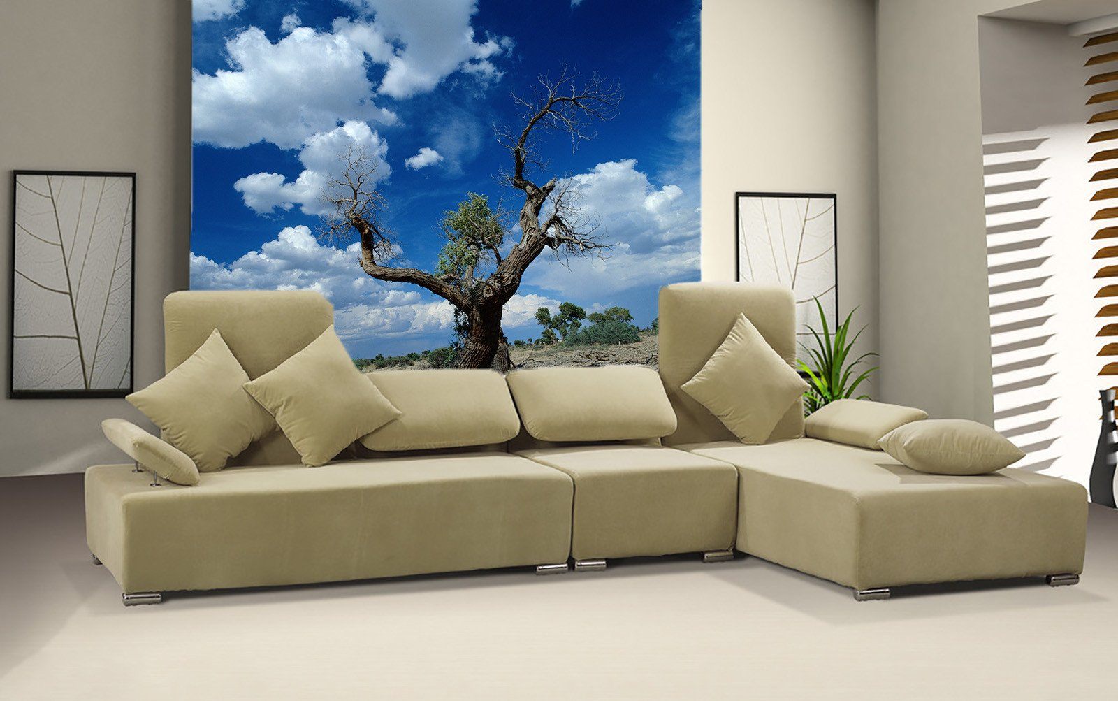 Wilderness Old Tree Wallpaper AJ Wallpaper 