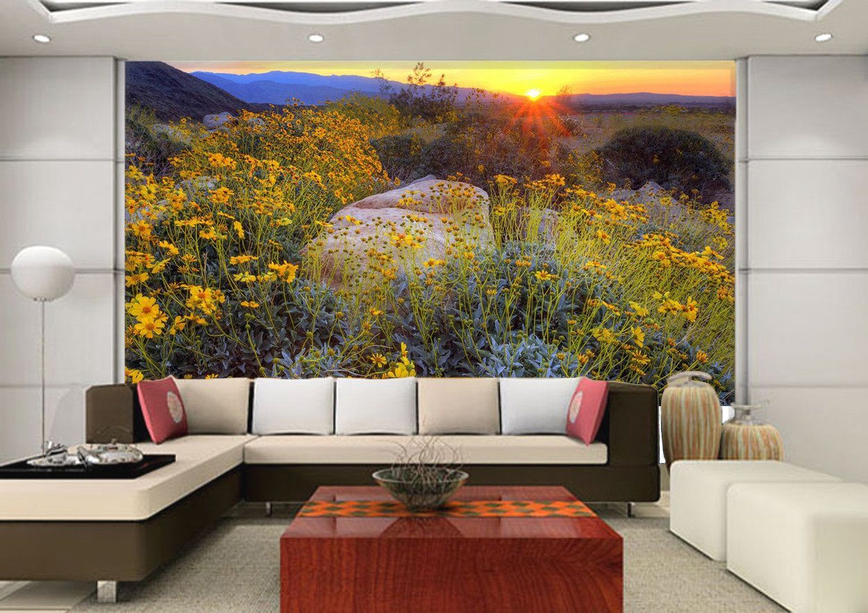 Sunset Glow And Chrysanthemum In Field 3 Wallpaper AJ Wallpaper 1 