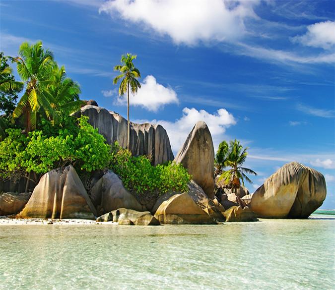 3D Beach Coconut Tree 693 Wallpaper AJ Wallpaper 