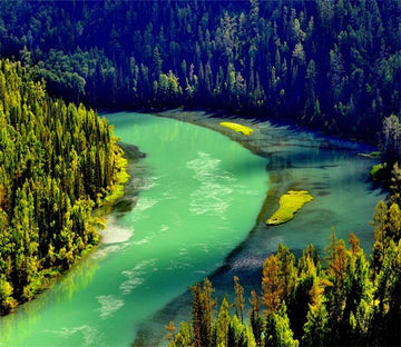 3D Jungle River 381 Wallpaper AJ Wallpaper 