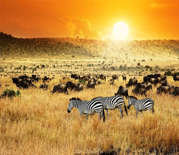 3D Sunset Glow Zebra 648 Wallpaper AJ Wallpaper 