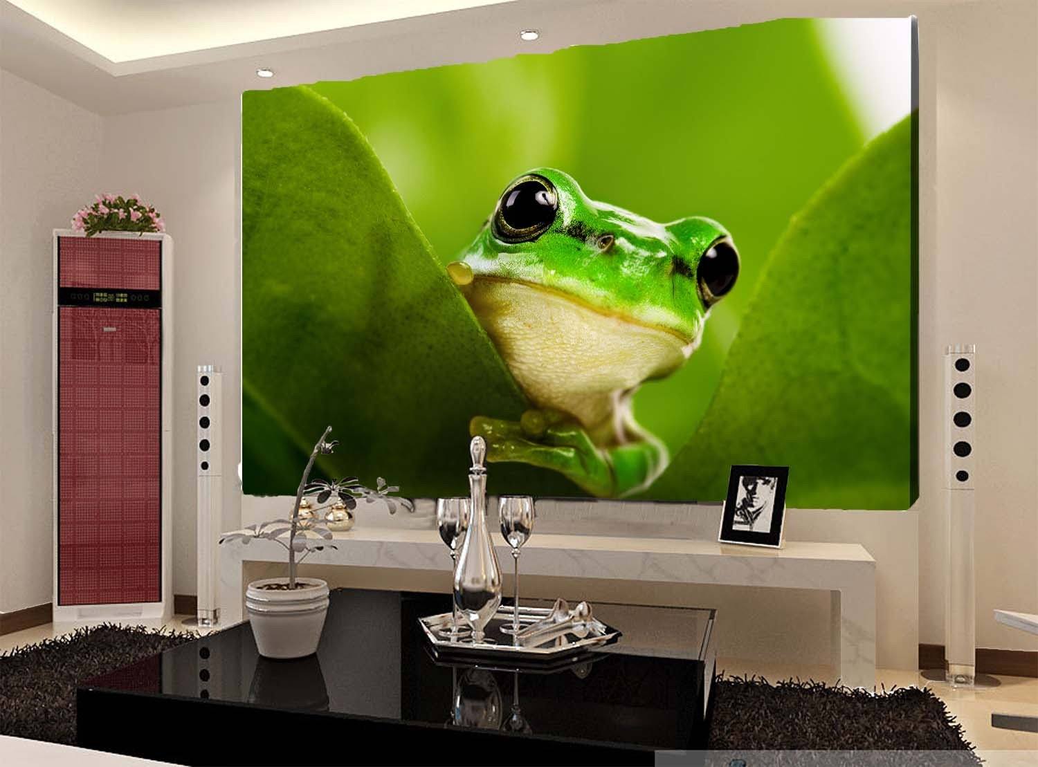 Green Frog Wallpaper AJ Wallpaper 