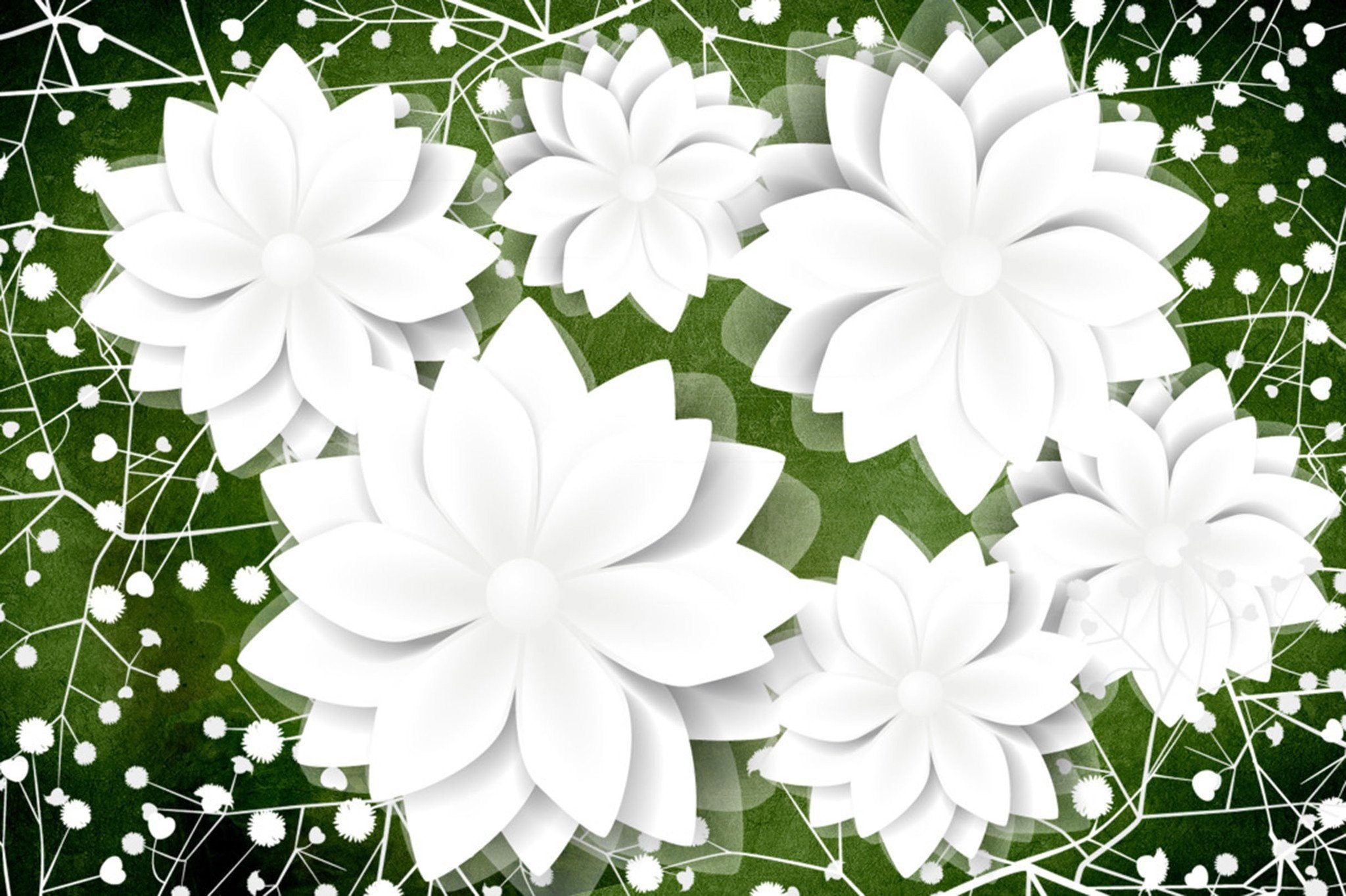 Pretty White Flowers Wallpaper AJ Wallpaper 