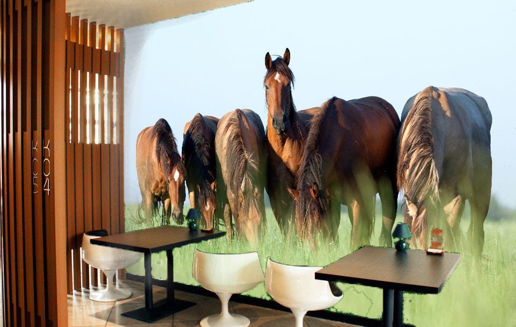 Browsing Horses Wallpaper AJ Wallpaper 