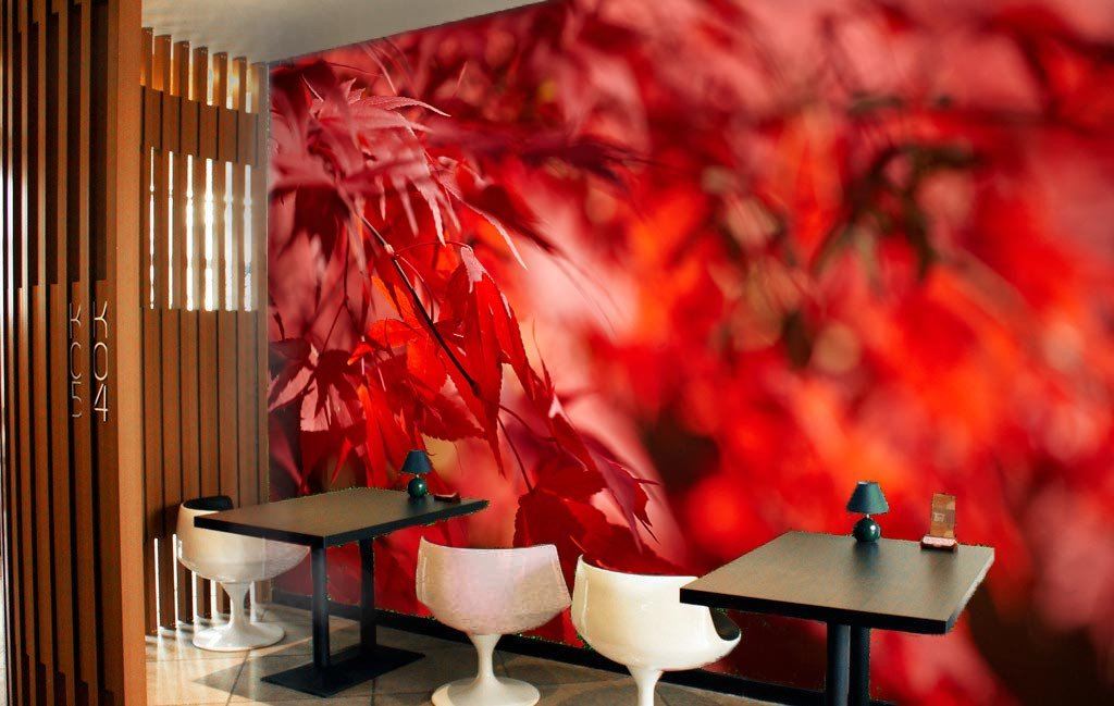 Red Maple Leaf Wallpaper AJ Wallpaper 