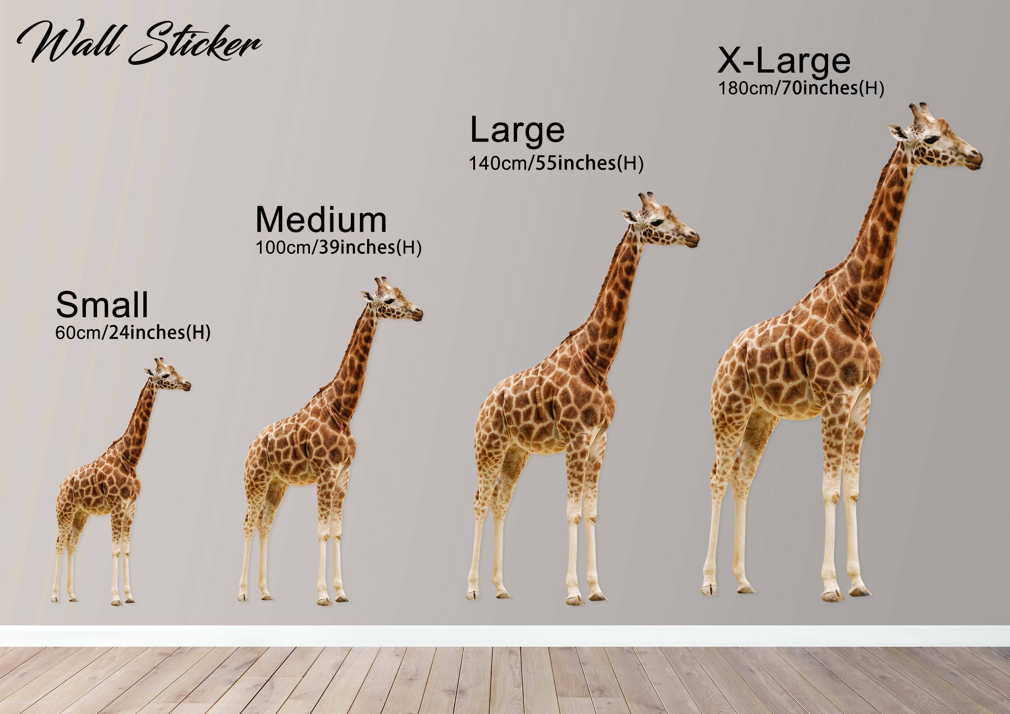3D Giraffe's Head 156 Animals Wall Stickers Wallpaper AJ Wallpaper 