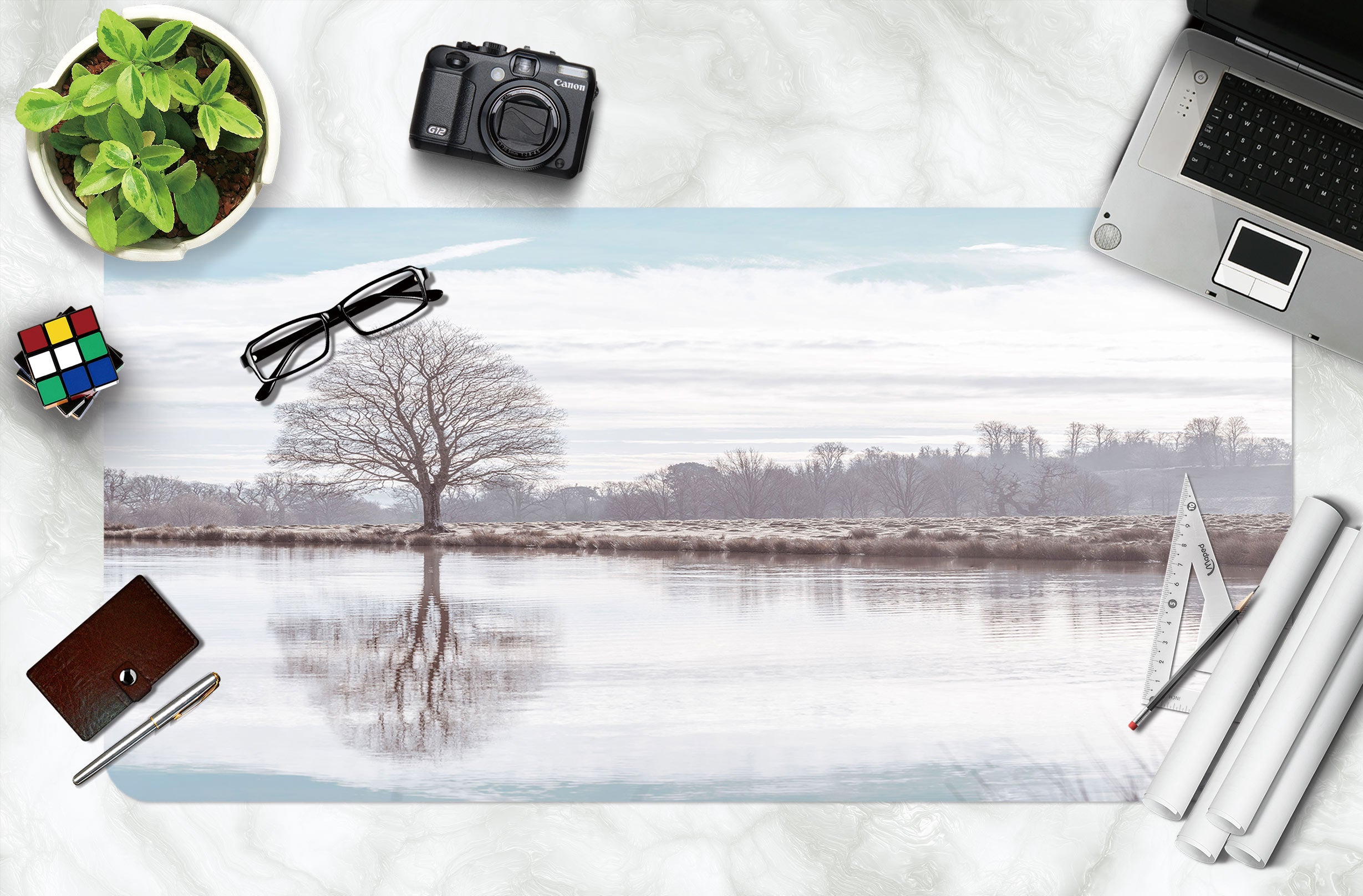 3D Lake Tree 12452 Assaf Frank Desk Mat