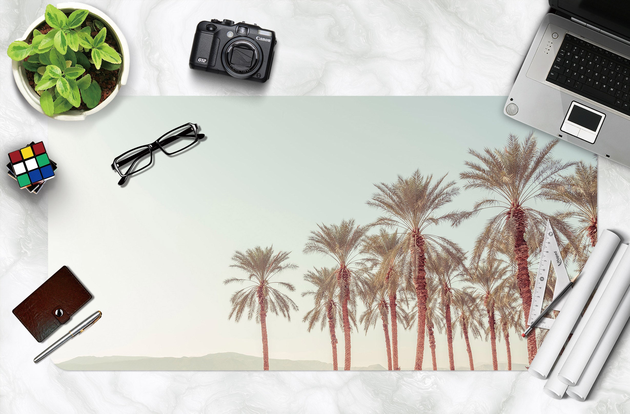 3D Coconut Tree 12450 Assaf Frank Desk Mat