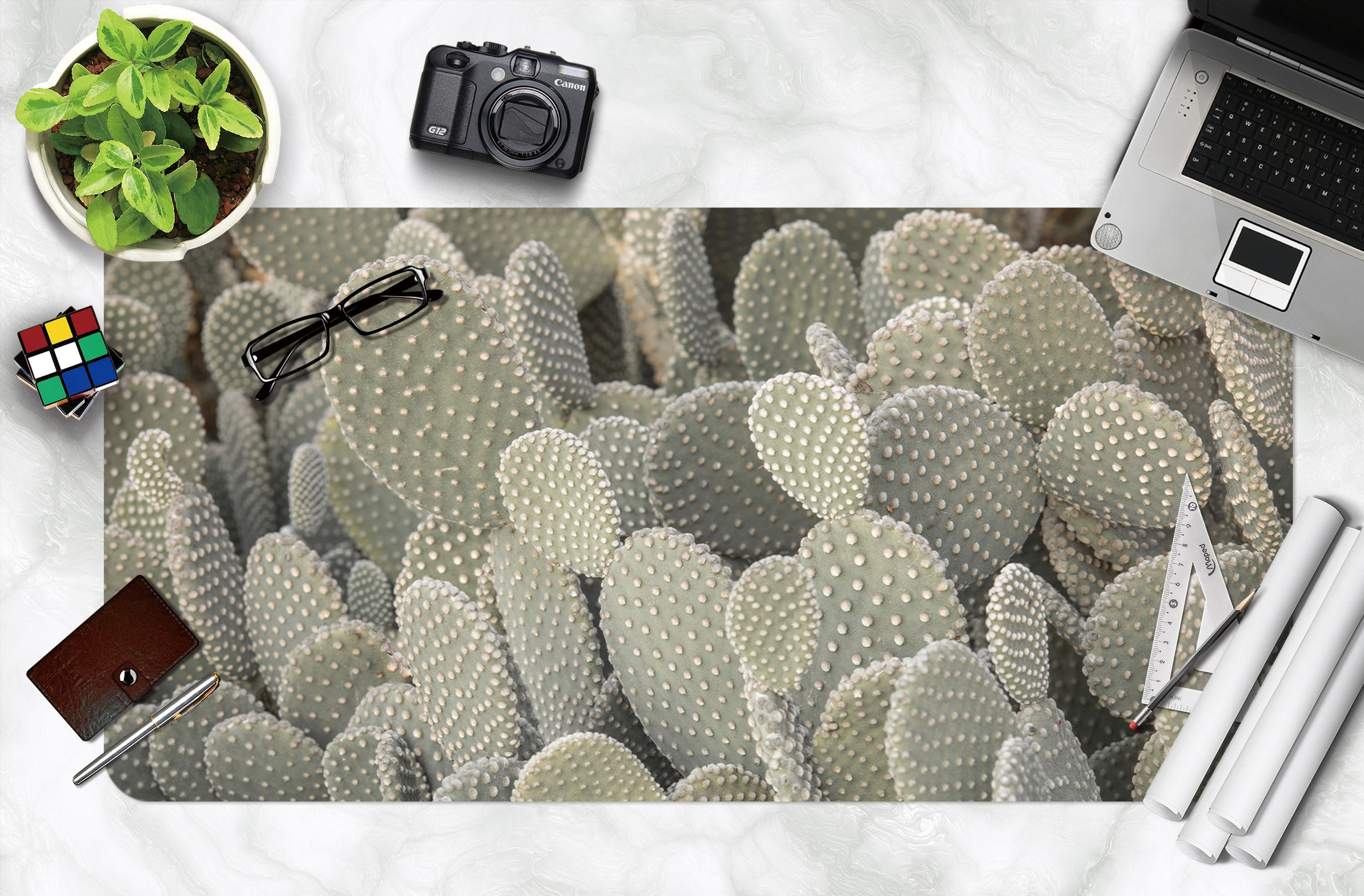 3D Green Cactus 7759 Assaf Frank Desk Mat