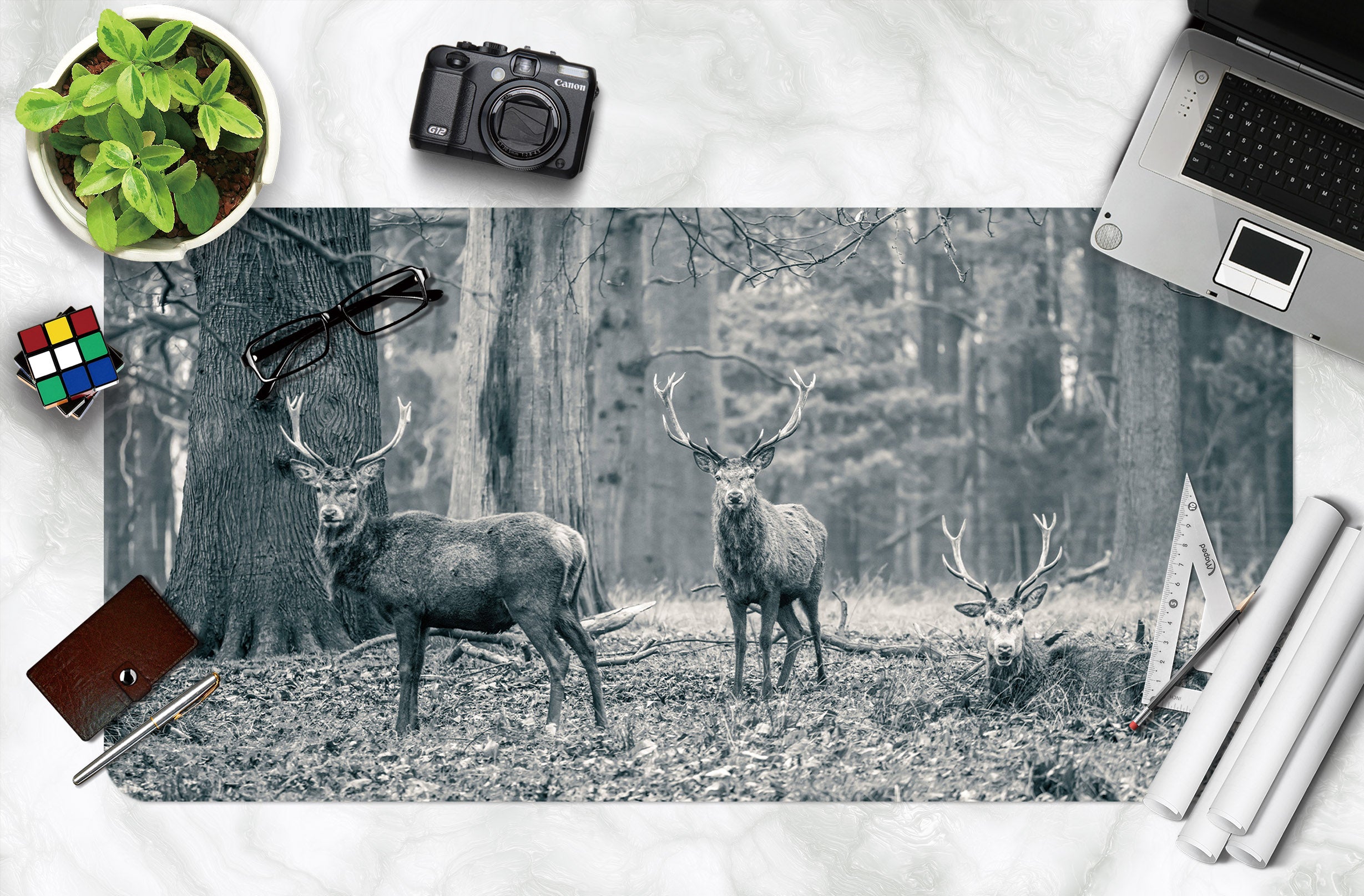 3D Animal Elk 7767 Assaf Frank Desk Mat