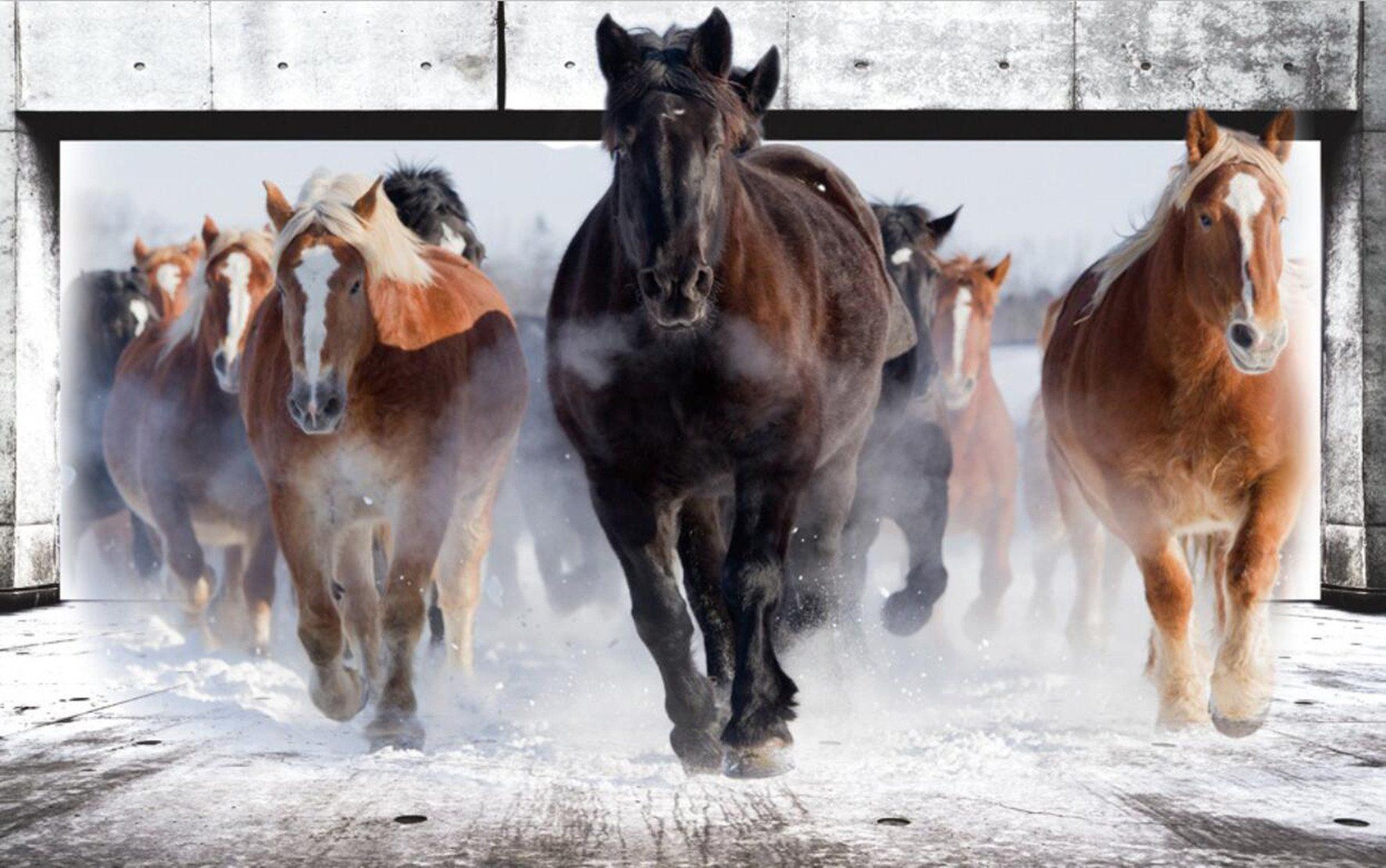 3D Running Horses 281 Garage Door Mural Wallpaper AJ Wallpaper 