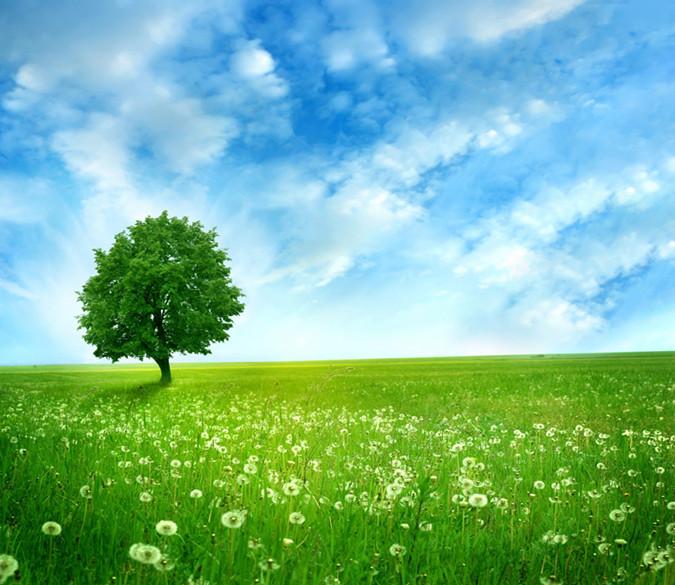 3D A Standing Green Tree 67 Wallpaper AJ Wallpapers 