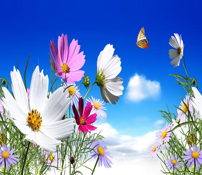 3D Flower And Butterfly 9 Wallpaper AJ Wallpaper 