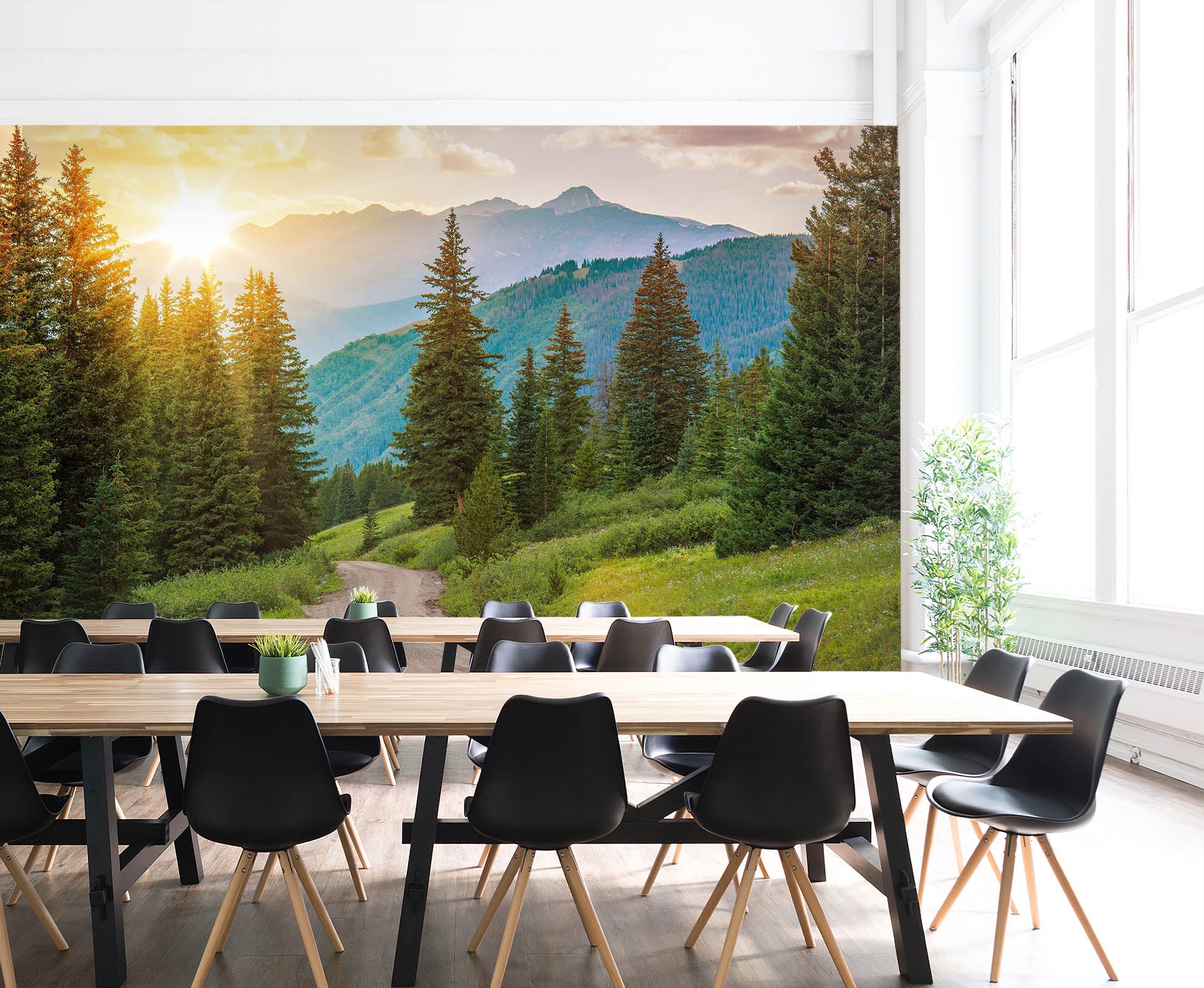 3D Sunny Forest 027 Wall Murals