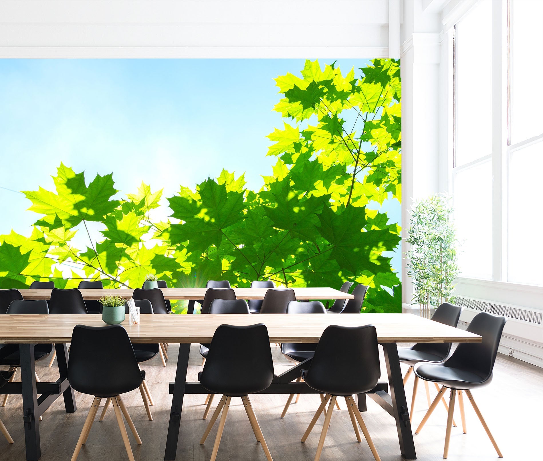 3D Sunlight Leaves 047 Wall Murals Wallpaper AJ Wallpaper 2 