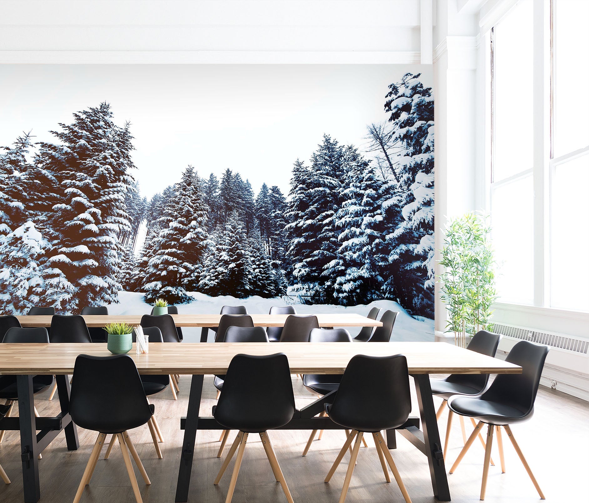 3D White Snow Tree 049 Wall Murals Wallpaper AJ Wallpaper 2 