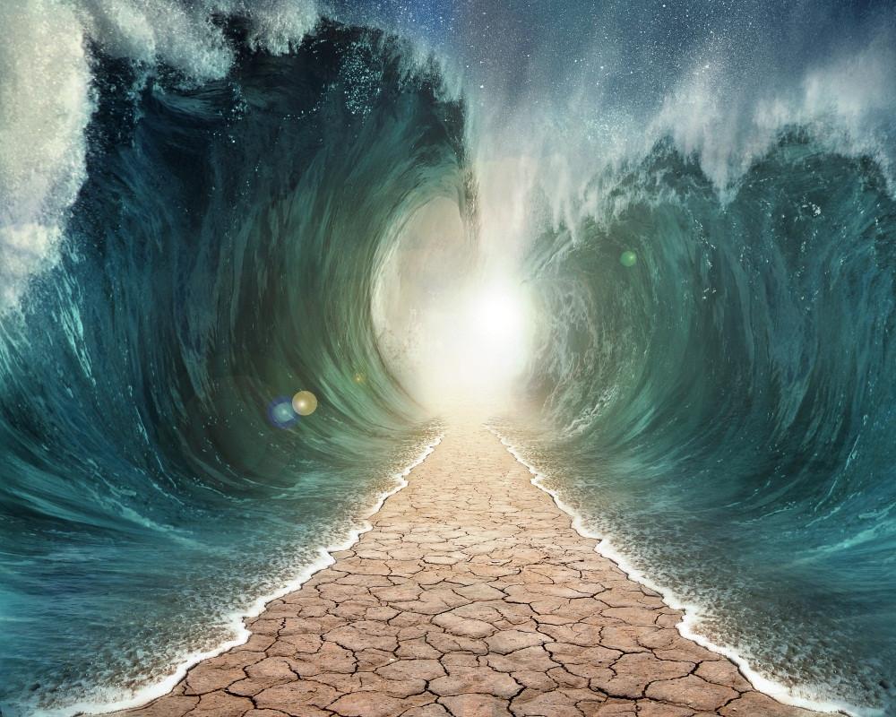 3D Huge Waves 183 Garage Door Mural Wallpaper AJ Wallpaper 