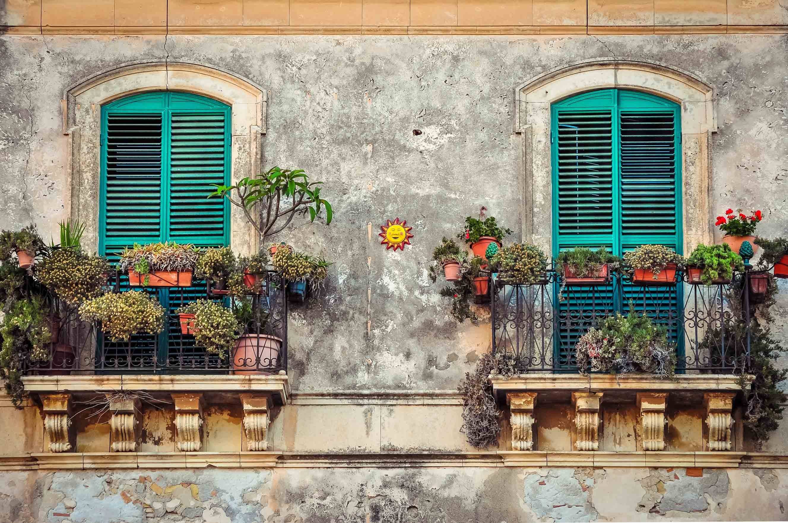 3D Window Potted Plants 442 Garage Door Mural Wallpaper AJ Wallpaper 