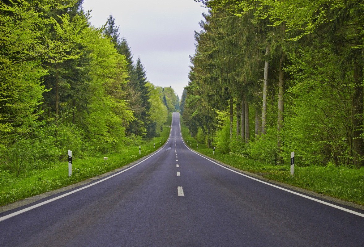 3D Roadside Green Forest 174 Garage Door Mural Wallpaper AJ Wallpaper 