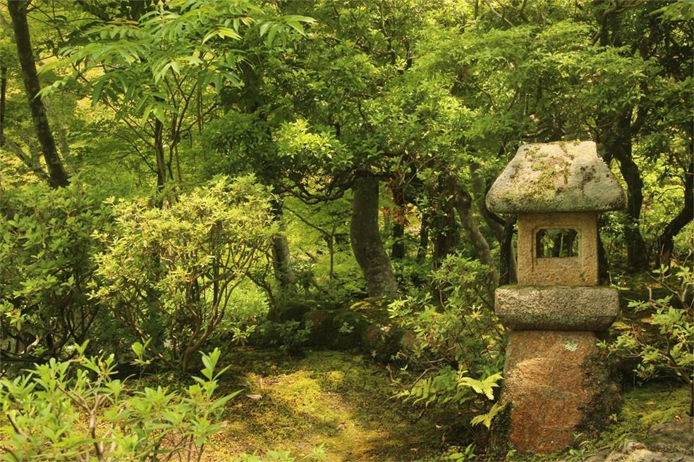 3D Green Forest 166 Garage Door Mural Wallpaper AJ Wallpaper 