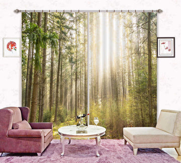 3D Sunny Forest 841 Curtains Drapes Wallpaper AJ Wallpaper 