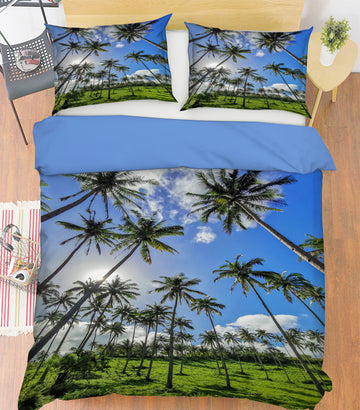 3D Coconut Grove 16162 Bed Pillowcases Quilt