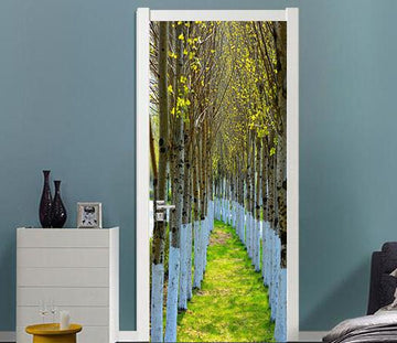 3D grassland field silver birch door mural Wallpaper AJ Wallpaper 